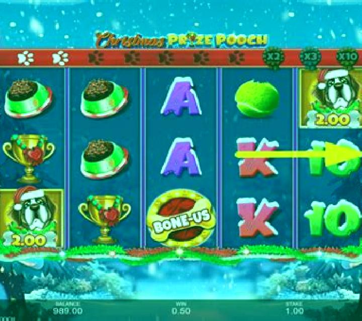 Christmas Prize Pooch slot