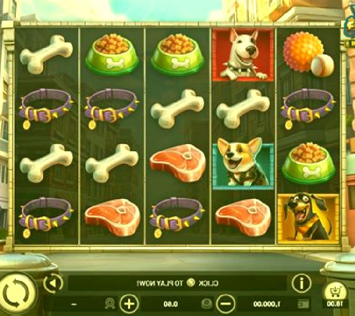 City Dawgs - Hold & Win online slot