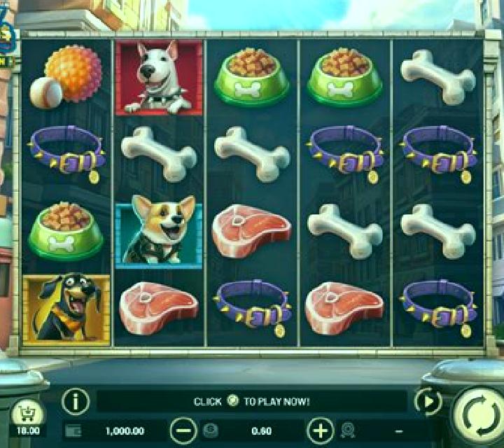 City Dawgs - Hold & Win slot game