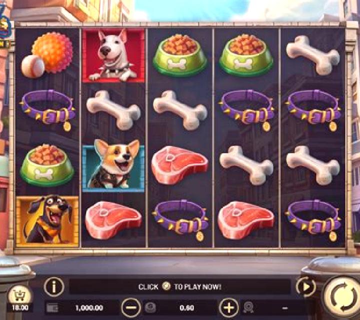 City Dawgs - Hold & Win slot machine