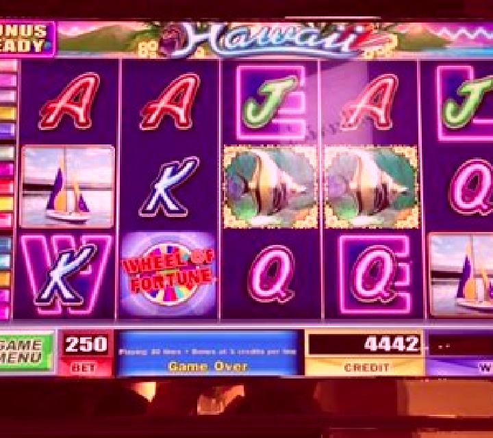 City Pop: Hawaii slot machine