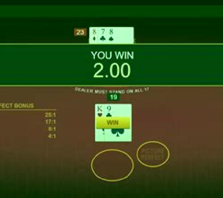 Classic Blackjack with Picture-Perfect Bonus slot