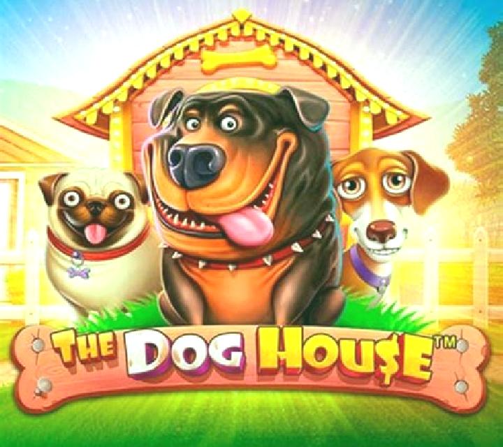 Clean House slot game