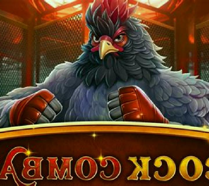 Cock Combat Dice slot