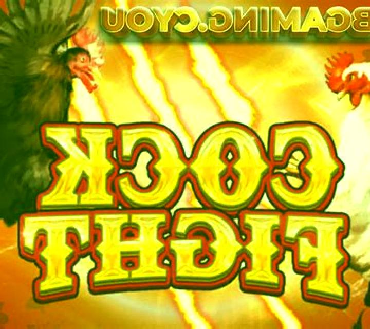 Cock Fight slot game