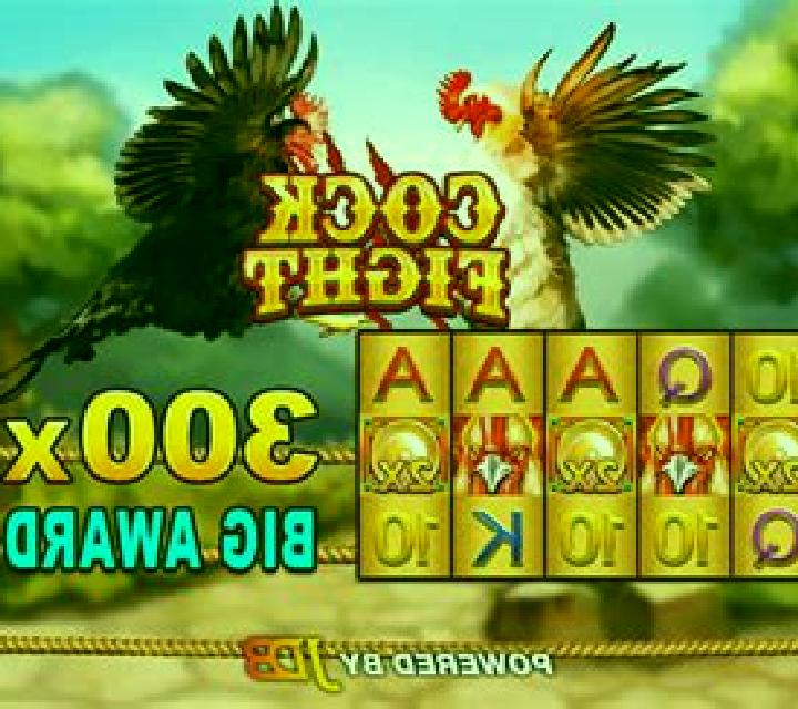 Cock Fight slot machine