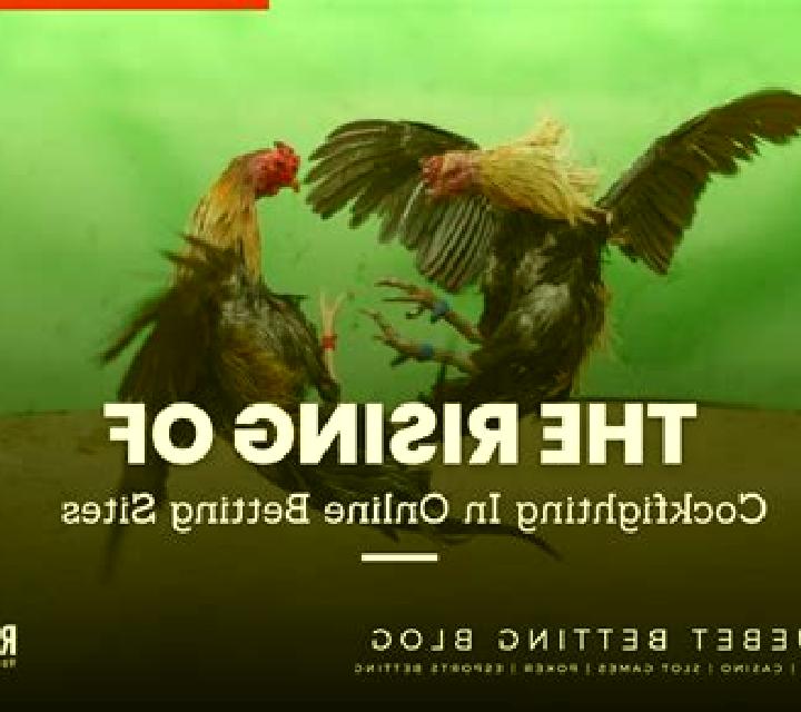 Cockfighting (Rich 88) online slot