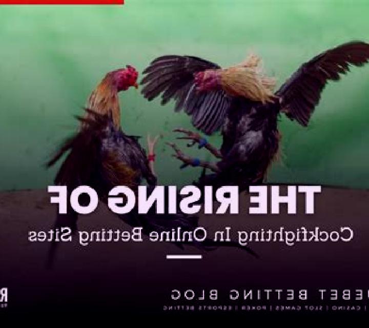 Cockfighting (Rich 88) slot game