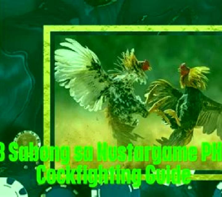 Cockfighting (Rich 88) slot