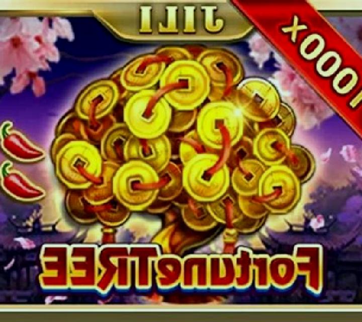 Coin Tree (Jili Games) slot game