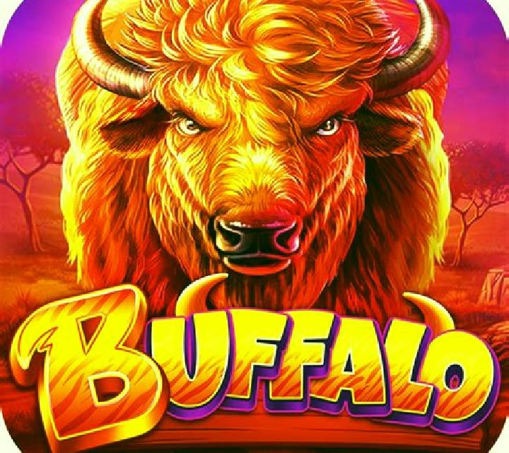 Coins of Buffalo slot game