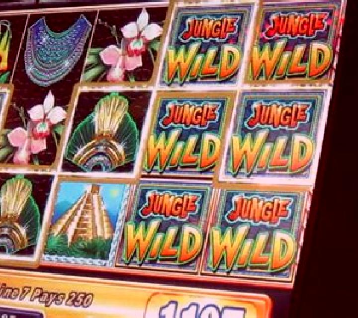 Colibri Wild slot machine
