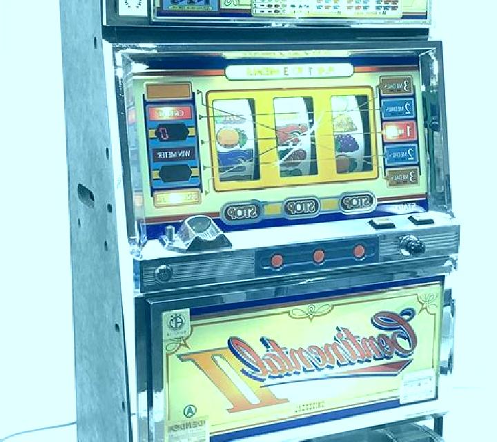 Continental Princess slot machine