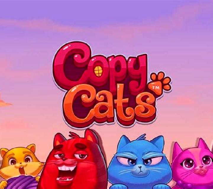 Copy Cats slot game