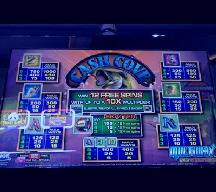 Coral Cove slot machine