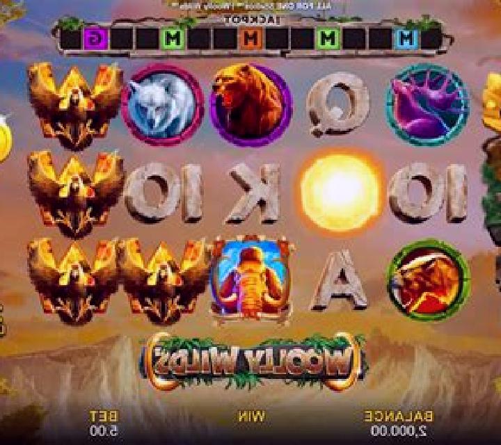 Cosmic Wilds slot game