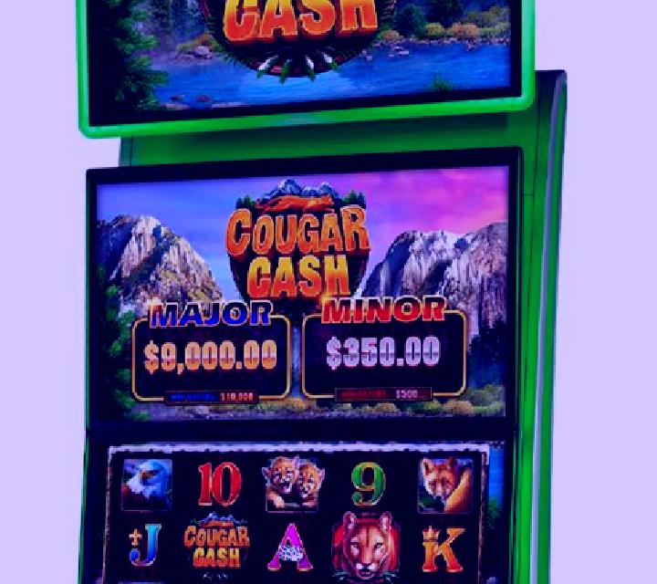 Cougar Cash slot game