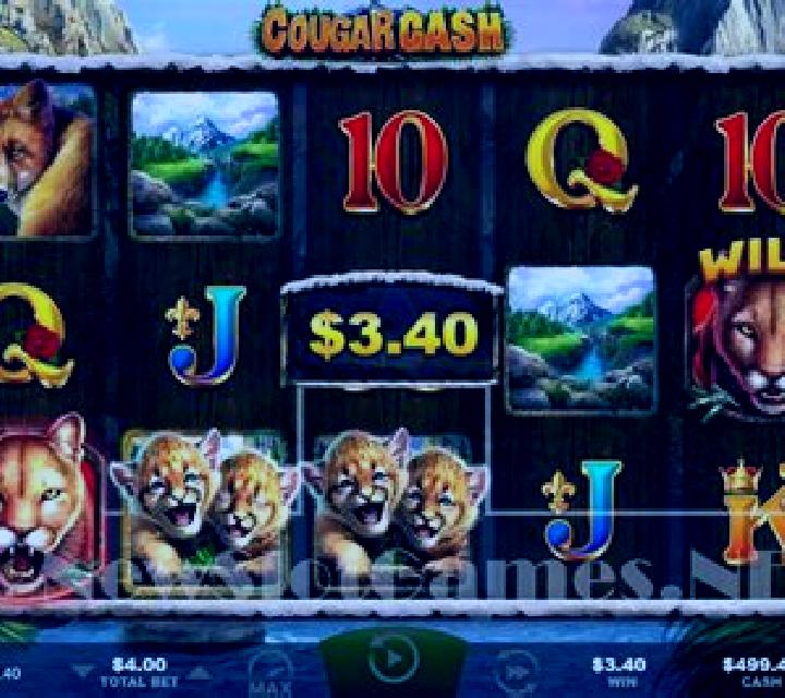 Cougar Cash slot machine