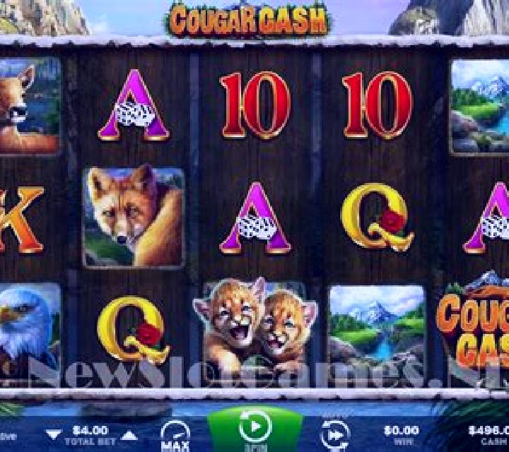 Cougar Cash slot