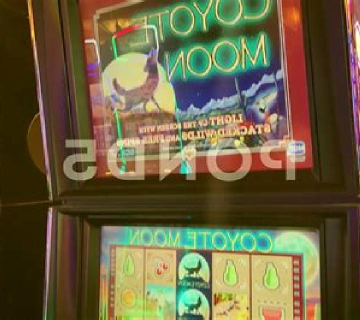 Coyote Canyon online slot