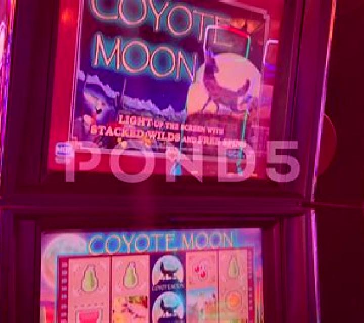 Coyote Canyon slot game