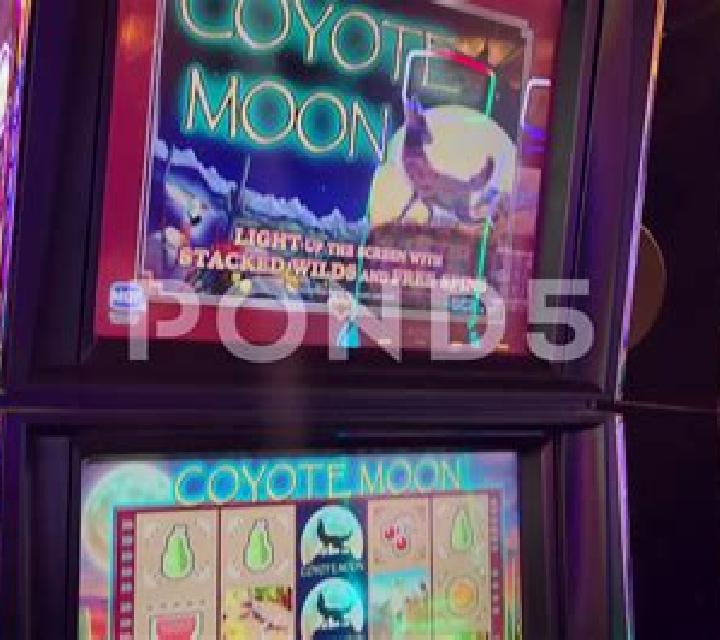 Coyote Canyon slot machine