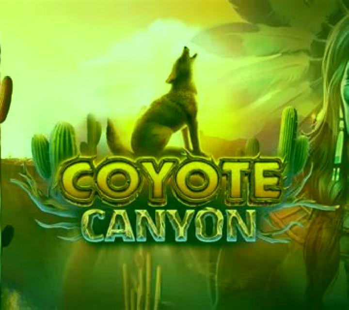 Coyote Canyon slot