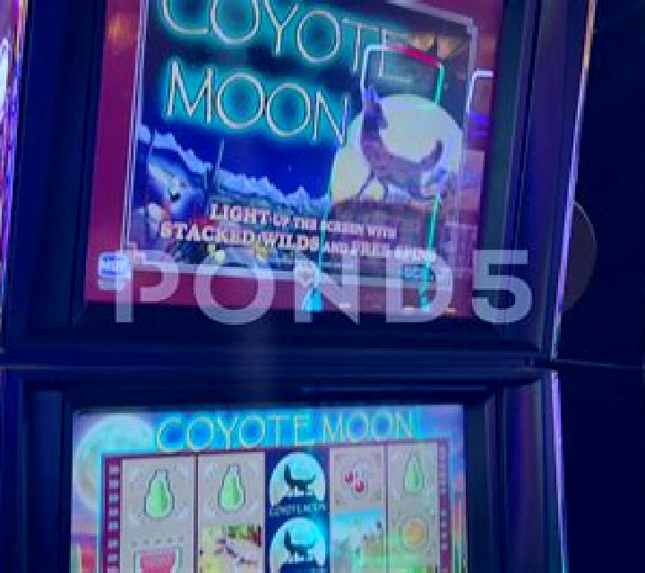 Coyote Cash 2 online slot