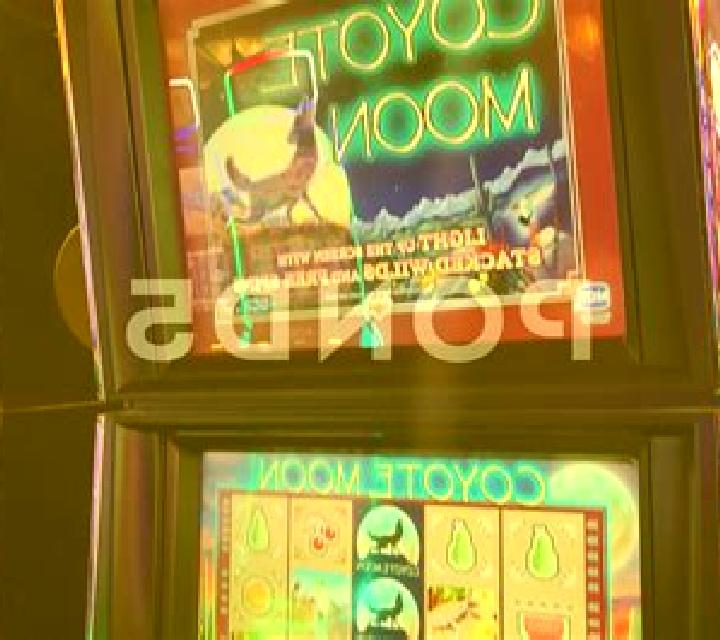 Coyote Cash 2 slot game