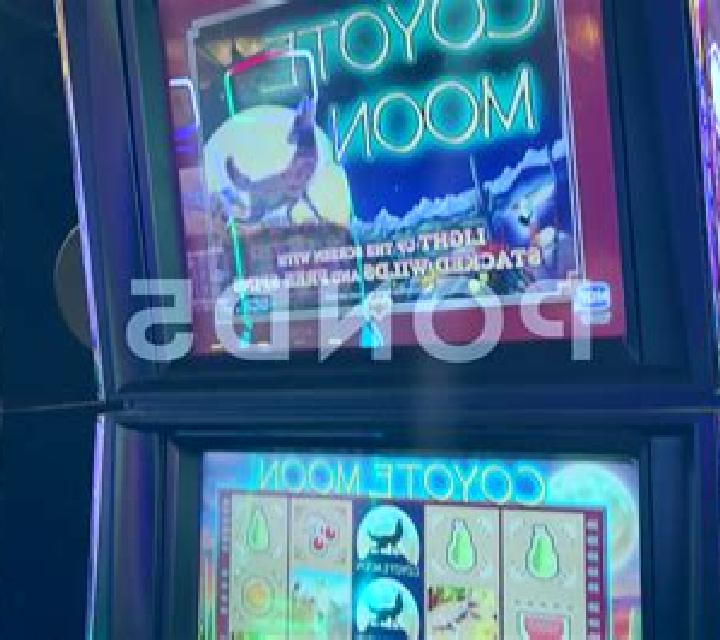 Coyote Crash online slot