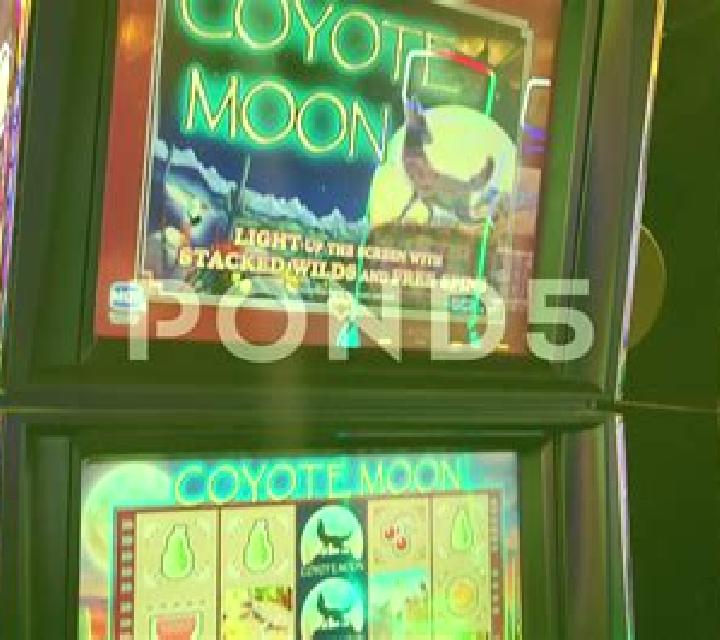 Coyote Crash slot machine