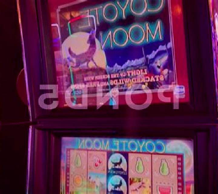 Coyote Dice online slot