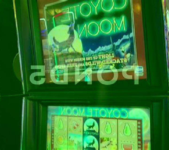 Coyote Dice slot game