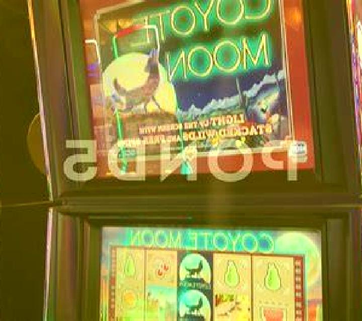 Coyote Dice slot machine