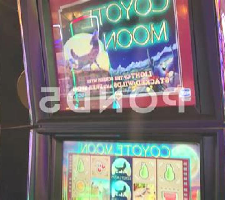 Coyote Gems slot machine
