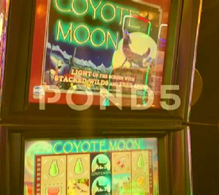 Coyote Gold slot machine
