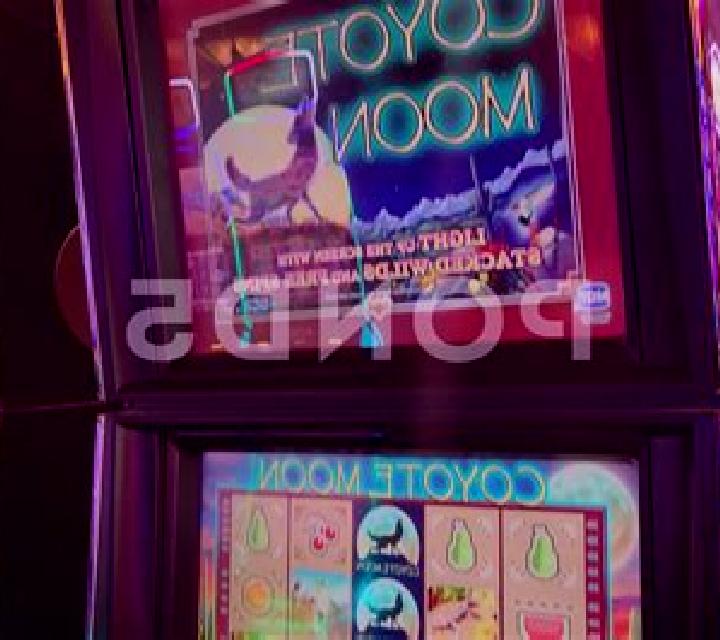 Coyote Moon online slot