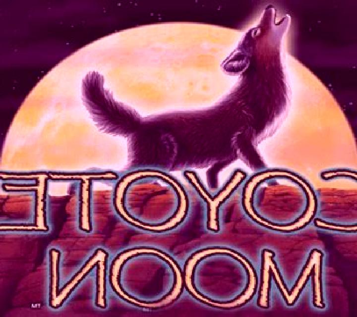 Coyote Moon slot machine