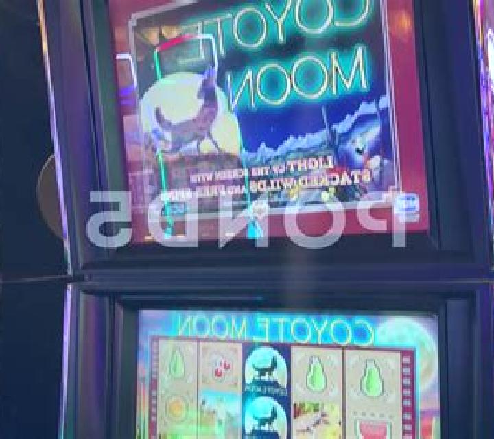 Coyote Sevens slot game