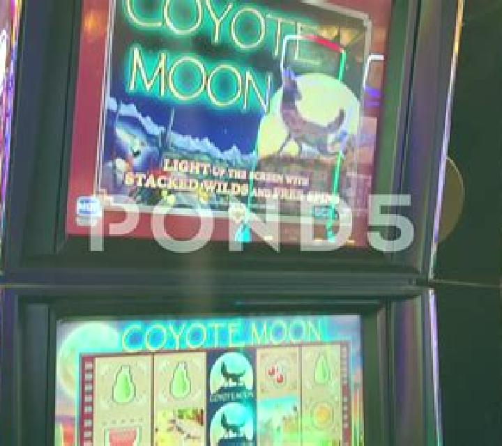 Coyote Sevens slot machine