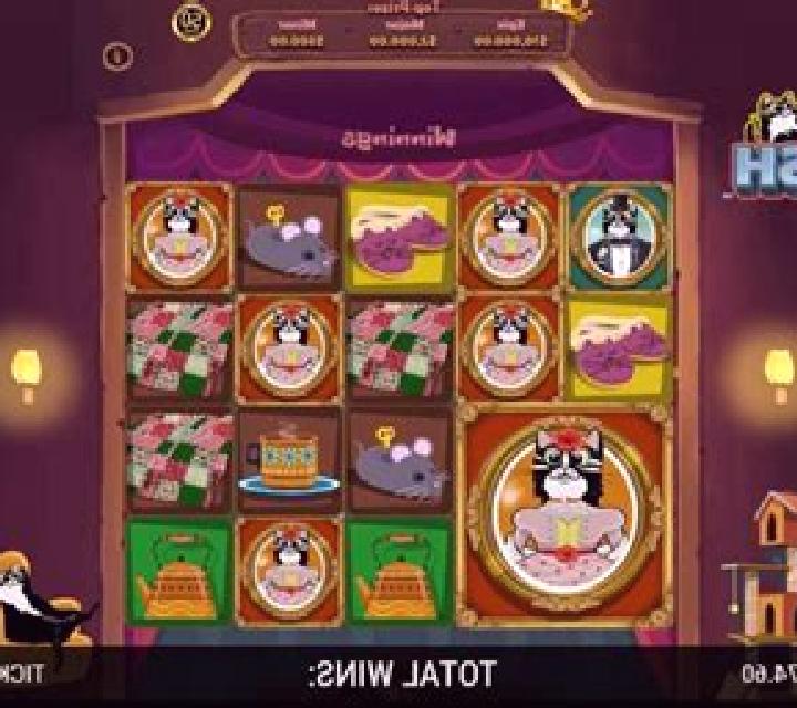 Cozy Cat Cash slot machine