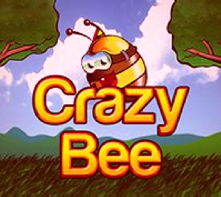 Crazy Bee slot game