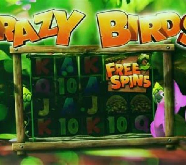 Crazy Birds slot