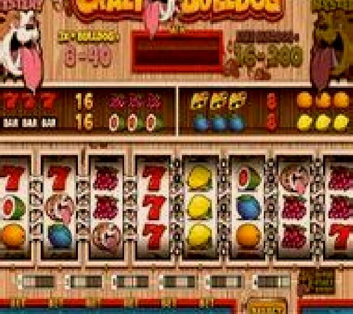Crazy Bulldog slot game