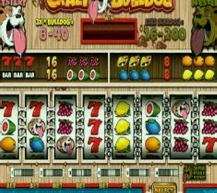 Crazy Bulldog slot machine