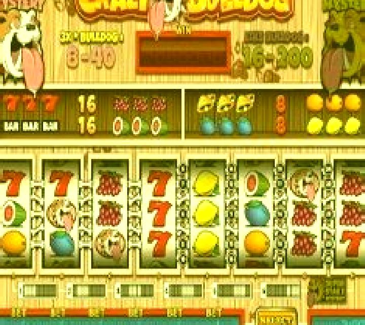 Crazy Bulldog slot
