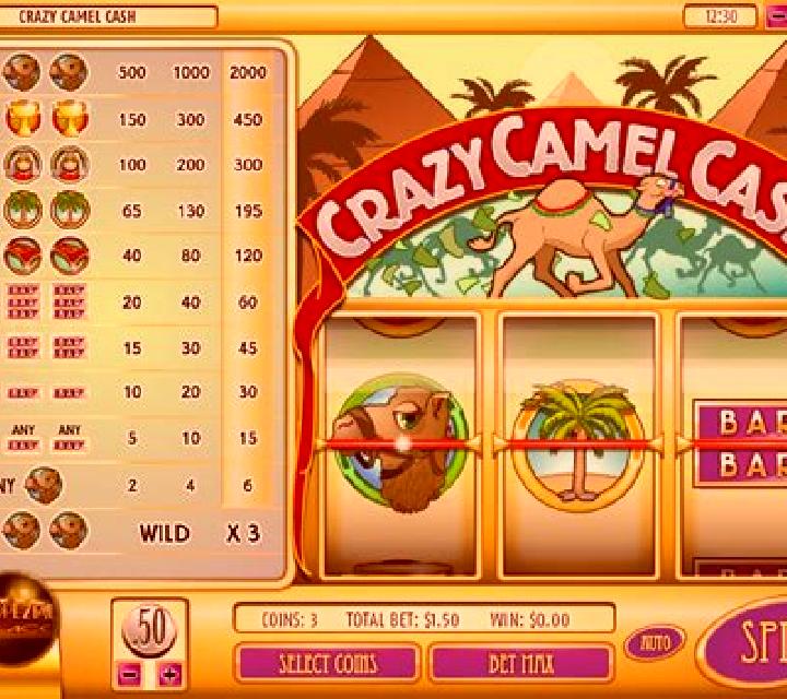 Crazy Camel Cash online slot