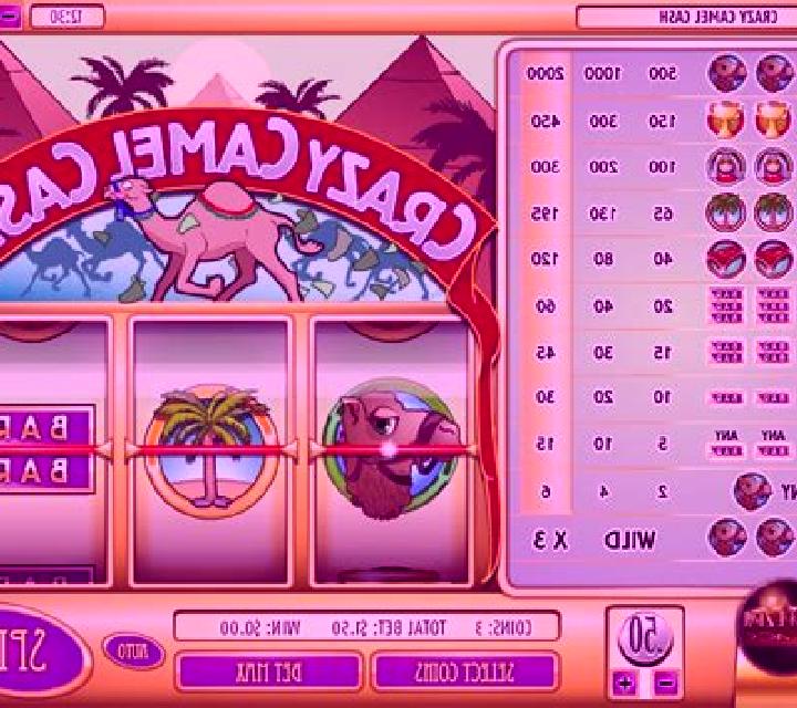 Crazy Camel Cash slot game