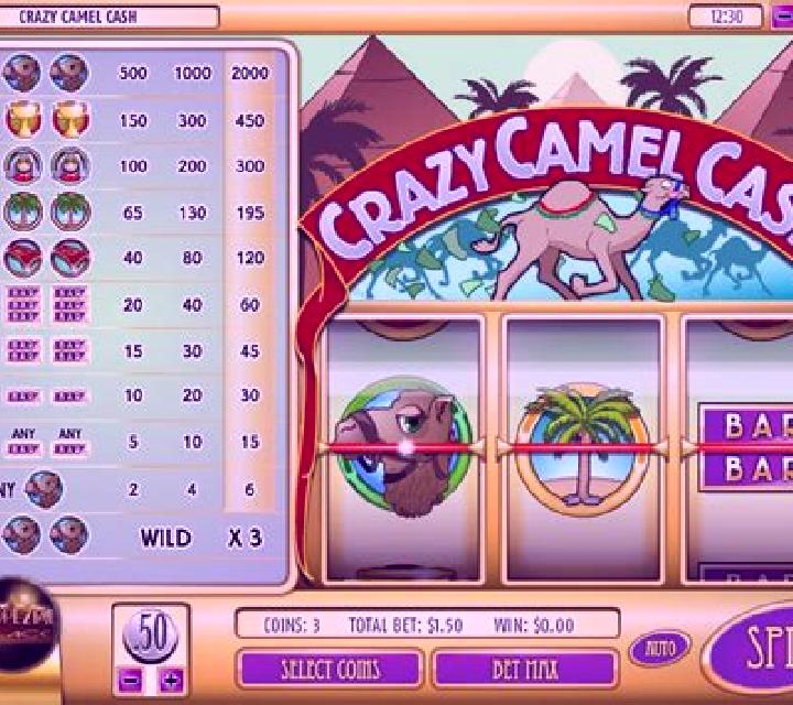 Crazy Camel Cash slot machine