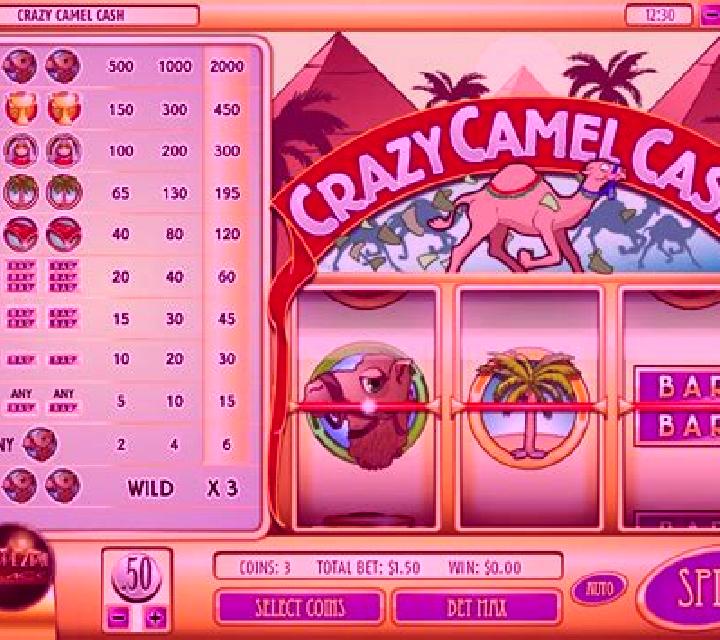 Crazy Camel Cash slot